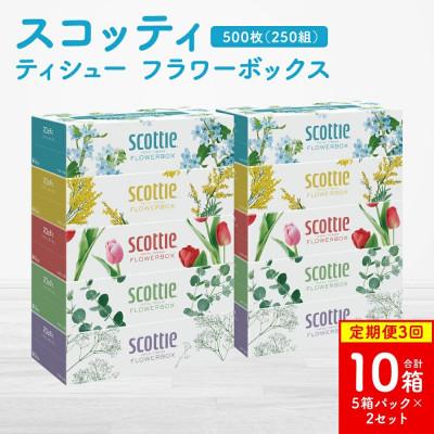 ふるさと納税 八代市 【毎月定期便】【スコッティ】ティシュー フラワーボックス 250組(5箱パック×2 計10箱)全3回