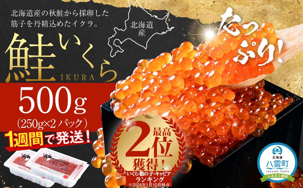 北海道産 鮭いくら醤油漬　500g (250g×2パック) 【 いくら醤油漬け いくら醤油漬 北海道 小分け 鮭 海産物 魚介類 水産物応援 水産物支援 年内発送 年内配送 】