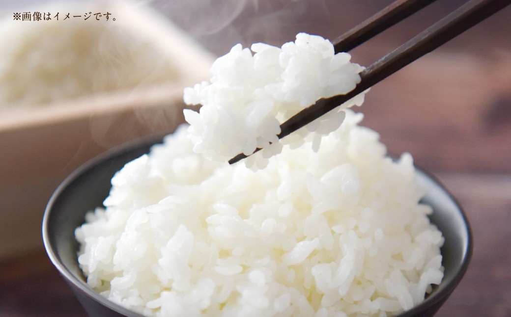 【 令和7年産 】 中央市産 コシヒカリ 5kg