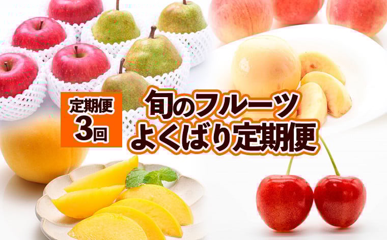 
            【定期便3回】旬のフルーツ　よくばり定期便 FY25-824
          