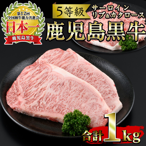 No.347 ＜肉質等級5等級＞(E-301)鹿児島黒牛サーロインステーキ2枚・すきやきセット(計1kg)国産 牛肉 黒毛 和牛 スライス リブロース 肩ロース カタ しゃぶしゃぶ【さつま日置農協】