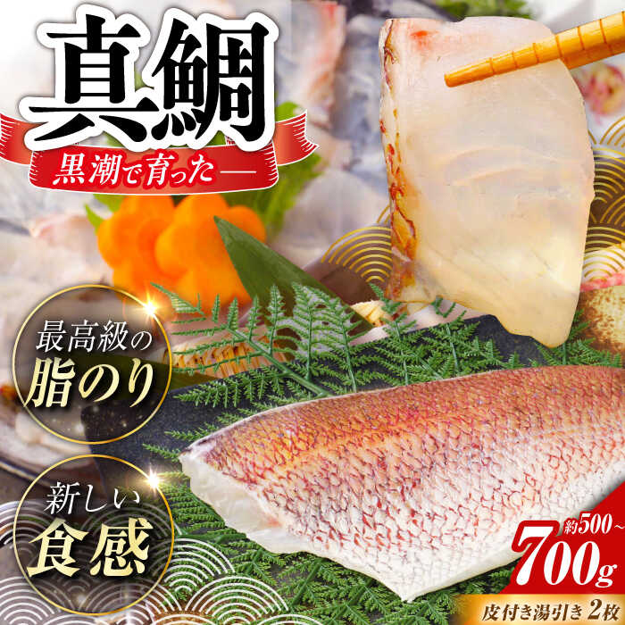 【ふるさと納税】土佐黒潮真鯛の湯引き（皮付き）2枚（約500〜700g）【株式会社　羽根】[ATCK014]