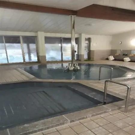 山梨県南部町秘湯「奥山温泉」宿泊券(1泊2食付き)5名様　10畳【1619602】