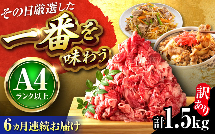 
                  【全6回定期便】【訳あり】【A4〜A5】博多和牛 切り落とし 1.5kg(500g×3パック) 吉富町/株式会社MEAT PLUS [BGAB078] きりおとし 切り落とし 牛肉 A4 国産 牛肉 黒毛和牛 福岡県 小分け 牛肉 和牛 冷凍
                