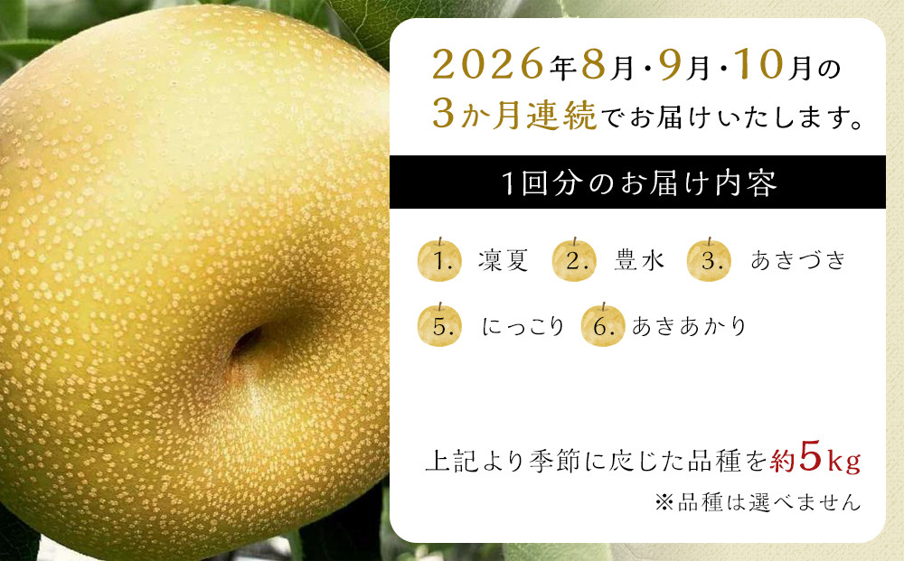 【定期便 全3回／2025年8～10月発送】＜旬の梨おまかせ5kg・6-14玉＞×3回（自家製有機肥料・減農薬・化学肥料無使用）