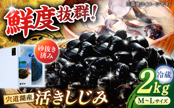 砂抜き不要！宍道湖産 活ヤマトシジミ 生しじみ 2kg 島根県松江市/株式会社漁師村 [ALDN003]