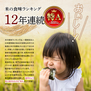 《定期便3カ月》北海道産 特別栽培米 ゆめぴりか 白米 5kg×2袋×3ヵ月 令和7年産 今摺り米 NP1-410