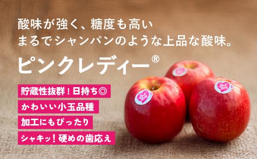 写真はイメージです。
