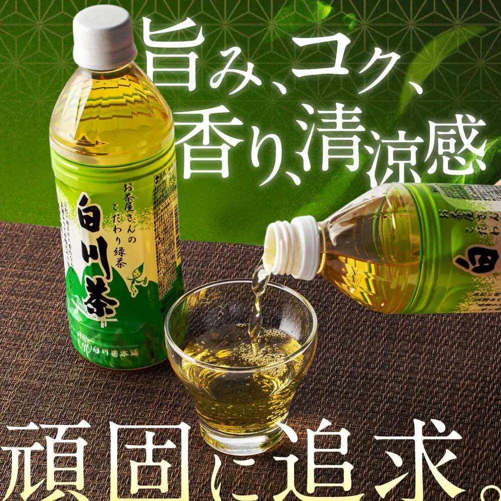 【12回定期便】緑茶ペットボトル 500ml×24本入/ 白川園本舗[AWAT008]緑茶