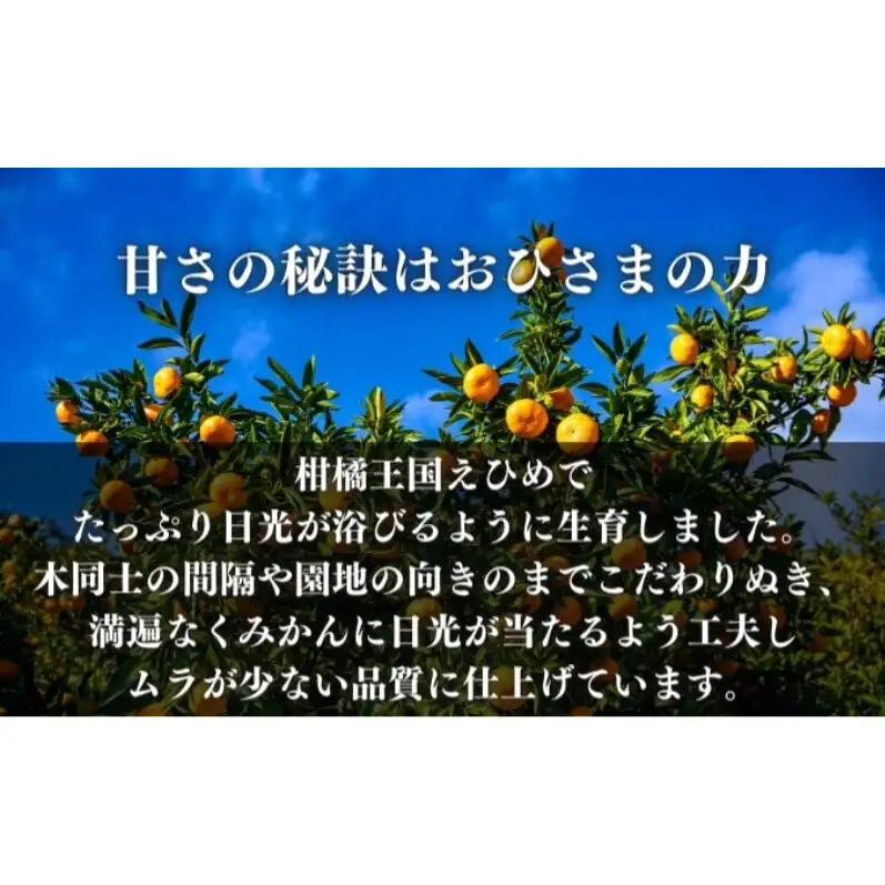 かんきつセット レモン せとか いよかん 愛媛県産 かんきつセット【各約1.5kg 3種】【定期便】