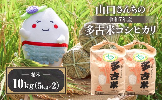 山口さんちの＜令和7年産＞多古米コシヒカリ(精米)10kg TAKF044