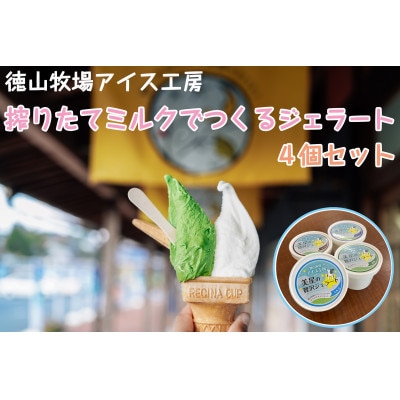 徳山牧場アイス工房の搾りたてミルクでつくるジェラート4個セット【配送不可地域：離島】【1423324】