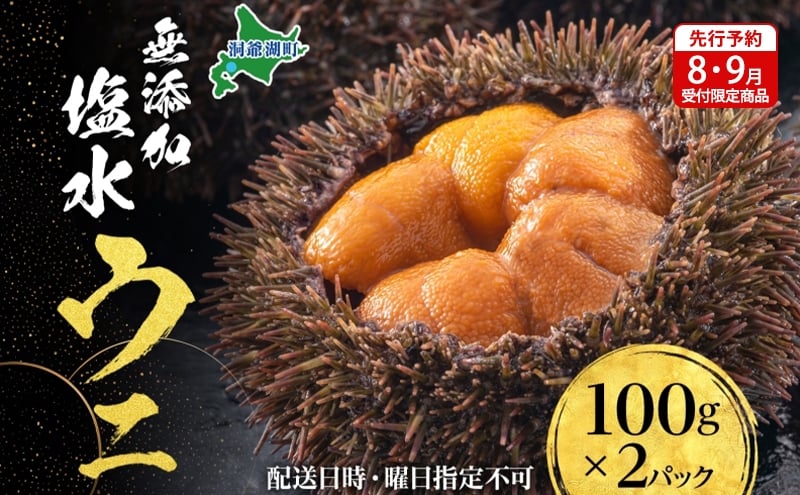 
            【先行予約】北海道 無添加塩水 ウニ 100g 2パック 11月上旬～12月上旬頃まで順次出荷 バフン ムラサキ うに 雲丹 海鮮 小川商店
          