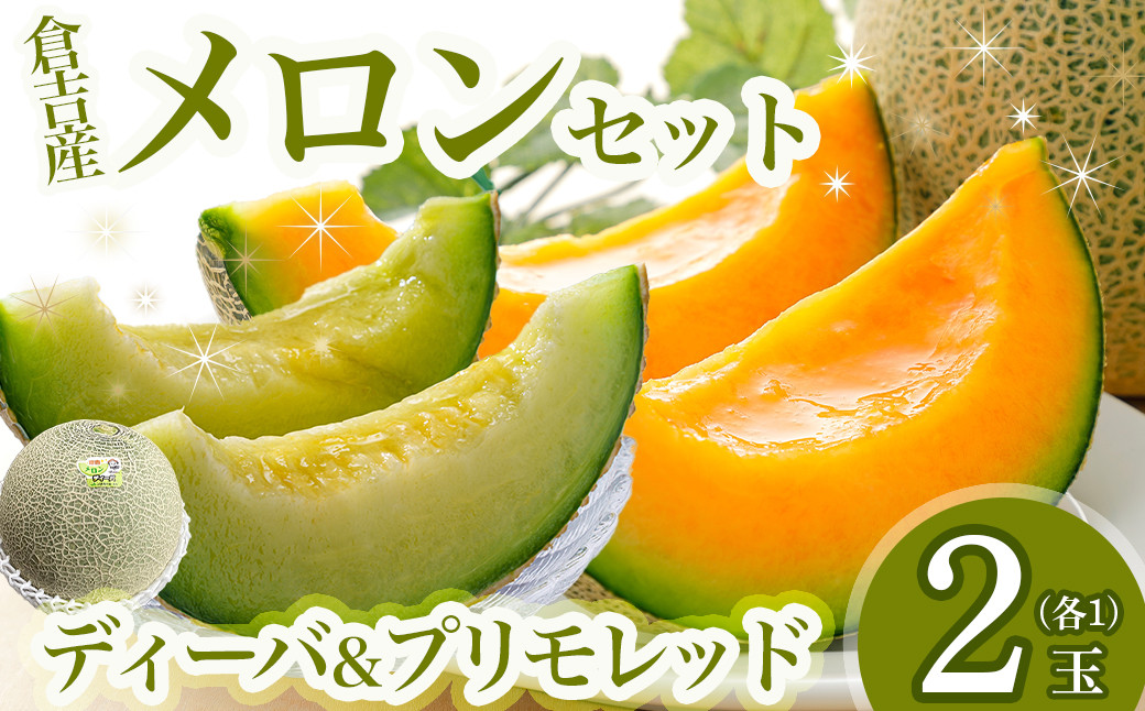 
                  倉吉メロンセット ディーバ＆プリモレッド （2玉入り）【倉吉産】 鳥取 果物 フルーツ メロン ディーバ プリモレッド メロン 数量限定 期間限定 鳥取県 倉吉市
                