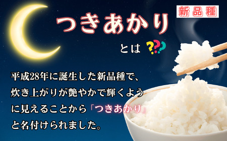 【先行予約】[令和７年産] 奥信濃飯山～木内ファームのお米～ つきあかり 精米 10㎏ (7-13A)