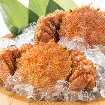 ふるさと納税 八雲町 【厳選三特品(特特特)】北海道噴火湾産毛ガニ 500g前後×2杯