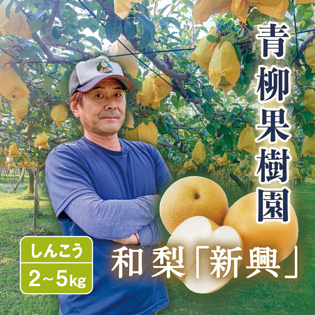 【ふるさと納税】【2025年先行予約】和梨 新興 選べる「2kg」or「3kg」or「5kg」[青柳果樹園]《11月上旬〜順次出荷》[0462]