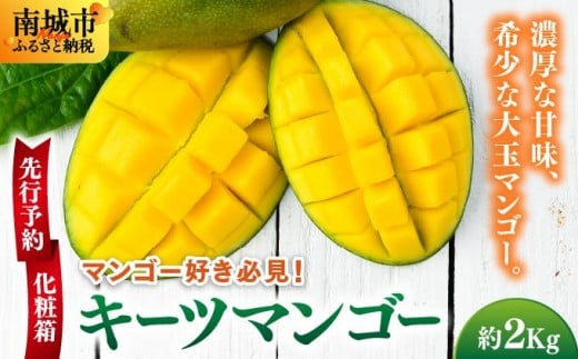 
            【先行予約】マンゴー好き必見！キーツマンゴー　約2kg  化粧箱
          