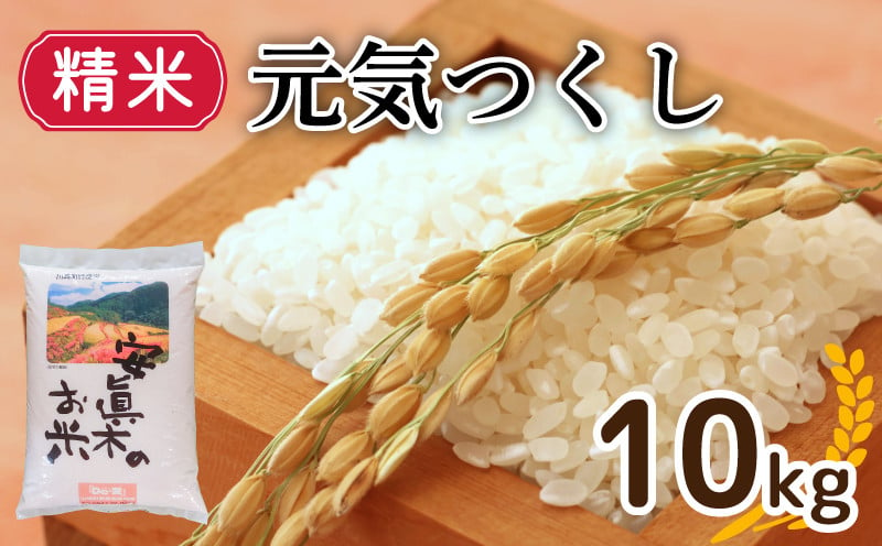 
            【1週間以内発送】元気つくし 10㎏ 精米（福岡県認定地域資源） 米 お米 精米 美味しいコメ ご飯 ゴハン 夕ご飯 野菜 晩ごはん 備蓄 防災 災害 福岡 川崎
          