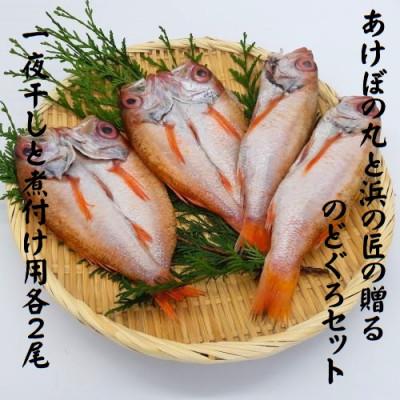 ふるさと納税 浜田市 山陰浜田港あけぼの丸と浜の匠ののどぐろ一夜干し・生冷凍セット