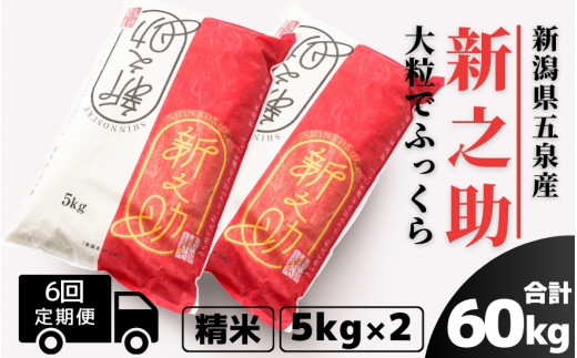 【先行予約】【令和8年産】〈6回定期便〉 新之助 精米 10kg（5kg×2袋） 新潟県 五泉市 有限会社ファームみなみの郷