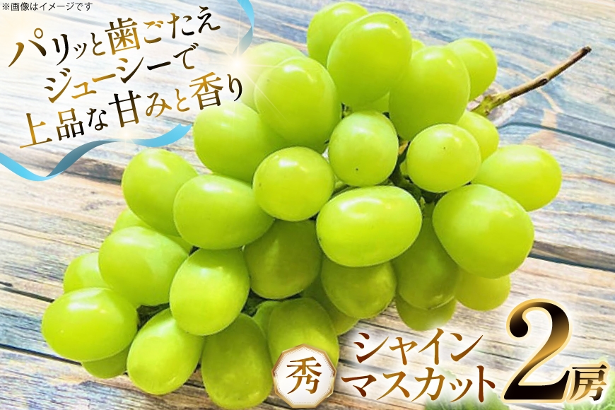 
            【期間限定発送】 シャインマスカット 秀 2房 約 1.2kg [もん前の里 山形県 高畠町 tk06ays960002] フルーツ 果物 くだもの ぶどう ブドウ 葡萄 1.2キロ 甘い
          