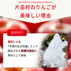 ぐんま名月 りんご 約3kg（片品フルーツ農園）
