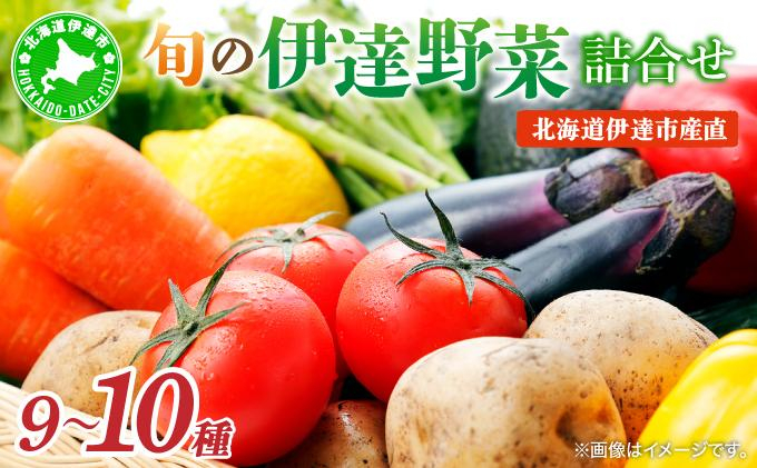 ＜定期便2回＞北海道 伊達市 産直・旬のおまかせ野菜詰合せ 9～10種【dnk-007】 定期便2回