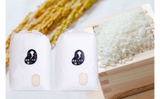 
                  令和8年産 新米 先行予約 備前乙女米 白米 10kg×2袋 岡山県産 | 米 お米 白米 精米 特A きぬむすめ 石原果樹園 【ishk041-01】
                