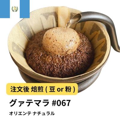 ふるさと納税 堺市 【豆】コーヒー #067 グアテマラ オリエンテ ナチュラル 310g