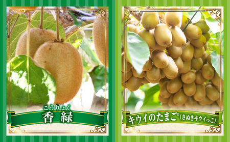 季節の恵み3回定期便I | 果物 フルーツ 青果 青果物 デザート スイーツ 果実 旬 季節 旬の果物 季節の果物 生鮮食品 生鮮 贈答 贈り物 ギフト プレゼント おすそ分け お祝い 内祝い ご褒美