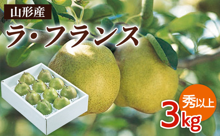 
            山形市産 ラ・フランス 秀以上 3kg(6～10玉) FZ19-432
          