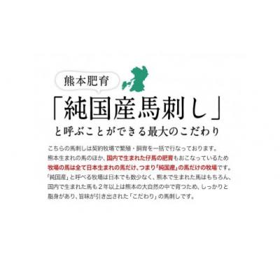 ふるさと納税 氷川町 馬刺し上赤身 ブロック熊本肥育 生食用 たれ付き(100g×2)+たてがみ(50g×1) |  | 01
