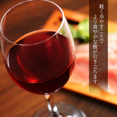ふるさと納税 余市町 <葡萄作りの匠 田崎正伸> ツヴァイゲルト&ピノ・ノワール【北海道ワイン】_Y020-0272 |  | 01