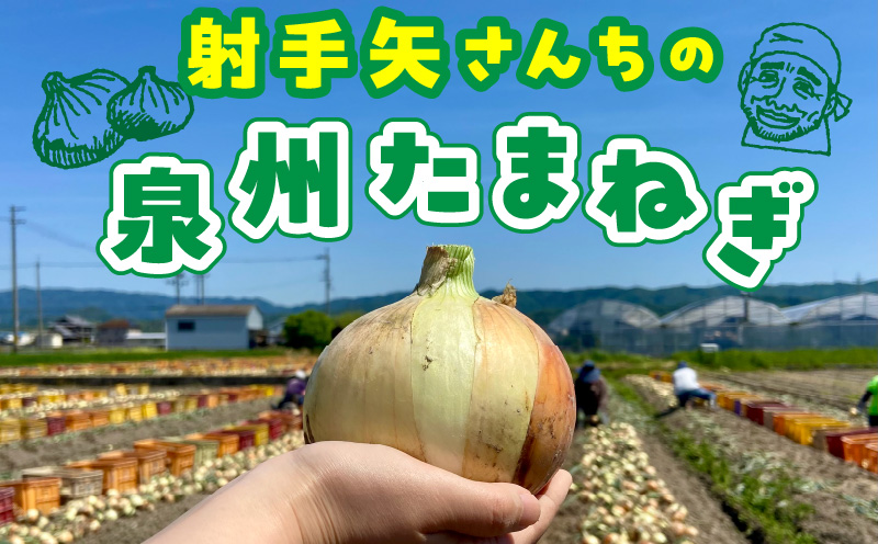【TVで紹介！】射手矢さんちの泉州たまねぎ 10kg【玉ねぎ タマネギ 玉葱 甘い 野菜 国産 期間限定 オニオン スライス サラダ カレー シチュー バーベキュー BBQ 肉じゃが】 G1498