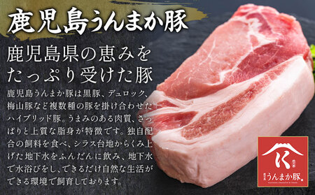【ふるさと納税】うんまか 豚バラ ＋ もつ鍋 4-5人前 株式会社 寺師《60日以内に出荷予定(土日祝除く)》 鹿児島県 さつま町 豚肉 バラ 肉 もつ鍋 モツ鍋 もつ モツ 鍋 セット