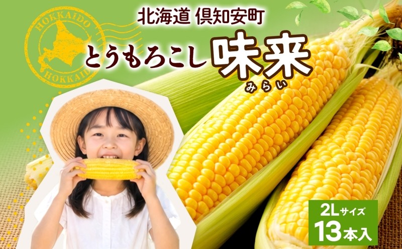 
                  【 2026年 出荷 】 北海道産 朝もぎ イエロー とうもろこし 味来 みらい 2Lサイズ 13本 約5kg 大きめ 夏野菜 とうきび 新鮮 野菜 トウモロコシ ギフト 産地直送 コーン 産直 グリーンアースファーム スイートコーン
                