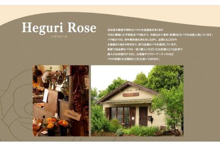 バラの花束（18本）