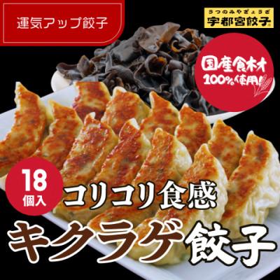 ふるさと納税 宇都宮市 宇都宮餃子 運気アップ餃子　ちょう×3いい感じ餃子18個　保存料不使用