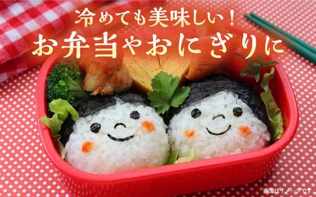 壱岐産 こしひかり 5kg《壱岐市》【壱岐市農業協同組合】 米 お米 ご飯 お弁当 常温発送[JBO147]