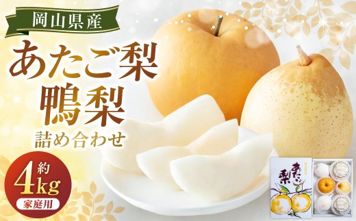 あたご梨 2～3玉・鴨梨（ヤーリー） 3～7玉 詰合せ 合計約4kg ご家庭用 梨 ナシ なし 愛宕梨 あたごなし ジャンボ梨 【2026年11月下旬～12月下旬発送予定】