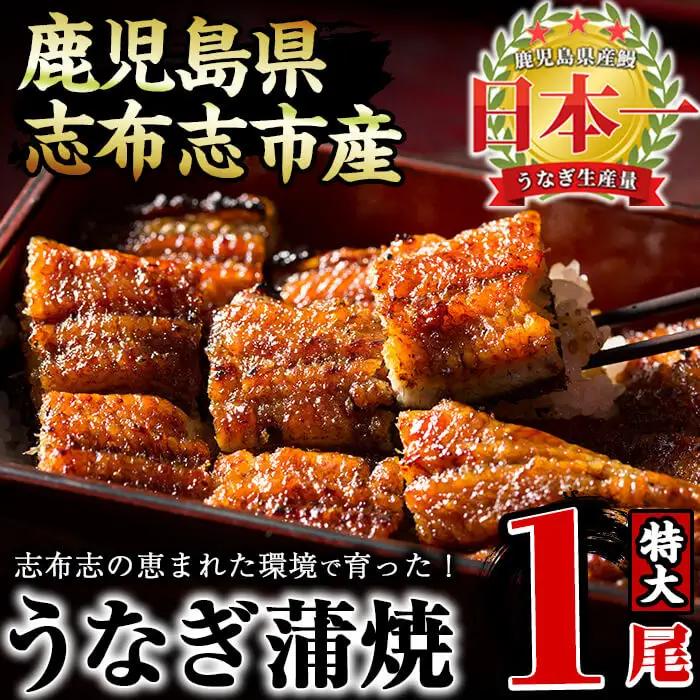 うなぎの大楠＜特大＞1尾170g うなぎ 鰻 ウナギ 1尾 国産 九州産 蒲焼き かばやき 冷凍 うな重 ひつまぶし タレ 山椒 真空パック ランキング 人気 a1-104