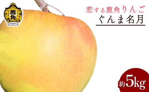 《 先行予約 》 鹿角 りんご 「 ぐんま名月 」約 5kg 【恋する鹿角カンパニー】●2026年11月中旬発送開始 かづのりんご 食感 果汁 さっぱり リンゴ 完熟 旬 県産りんご お中元 お歳暮 贈り物 お見舞い グルメ ギフト 故郷 秋田 あきた 鹿角市 鹿角 送料無料