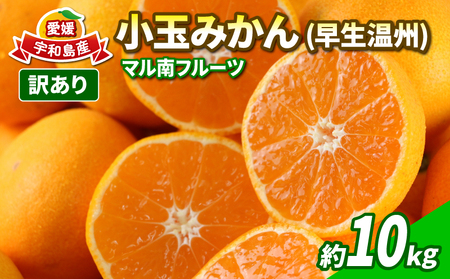 訳あり 小玉 みかん 早生温州 10kg マル南フルーツ 訳ありみかん 温州みかん 早生 温州 小玉みかん 小みかん 果物 くだもの フルーツ 柑橘 蜜柑  甘い フルーティ 数量限定 産地直送 国産 愛媛 宇和島 蜜柑 蜜柑 蜜柑 蜜柑 蜜柑 蜜柑 蜜柑 蜜柑 蜜柑 蜜柑 蜜柑 蜜柑 蜜柑 蜜柑 蜜柑 蜜柑 蜜柑 蜜柑 蜜柑 蜜柑 蜜柑 蜜柑 蜜柑 蜜柑 蜜柑 蜜柑 蜜柑 蜜柑 蜜柑 蜜柑 蜜柑 蜜柑 蜜柑 蜜柑 蜜柑 蜜柑 蜜柑 蜜柑 蜜柑 蜜柑 蜜柑 蜜柑 蜜柑 蜜柑 蜜柑 蜜柑 蜜柑 蜜柑 蜜柑 蜜