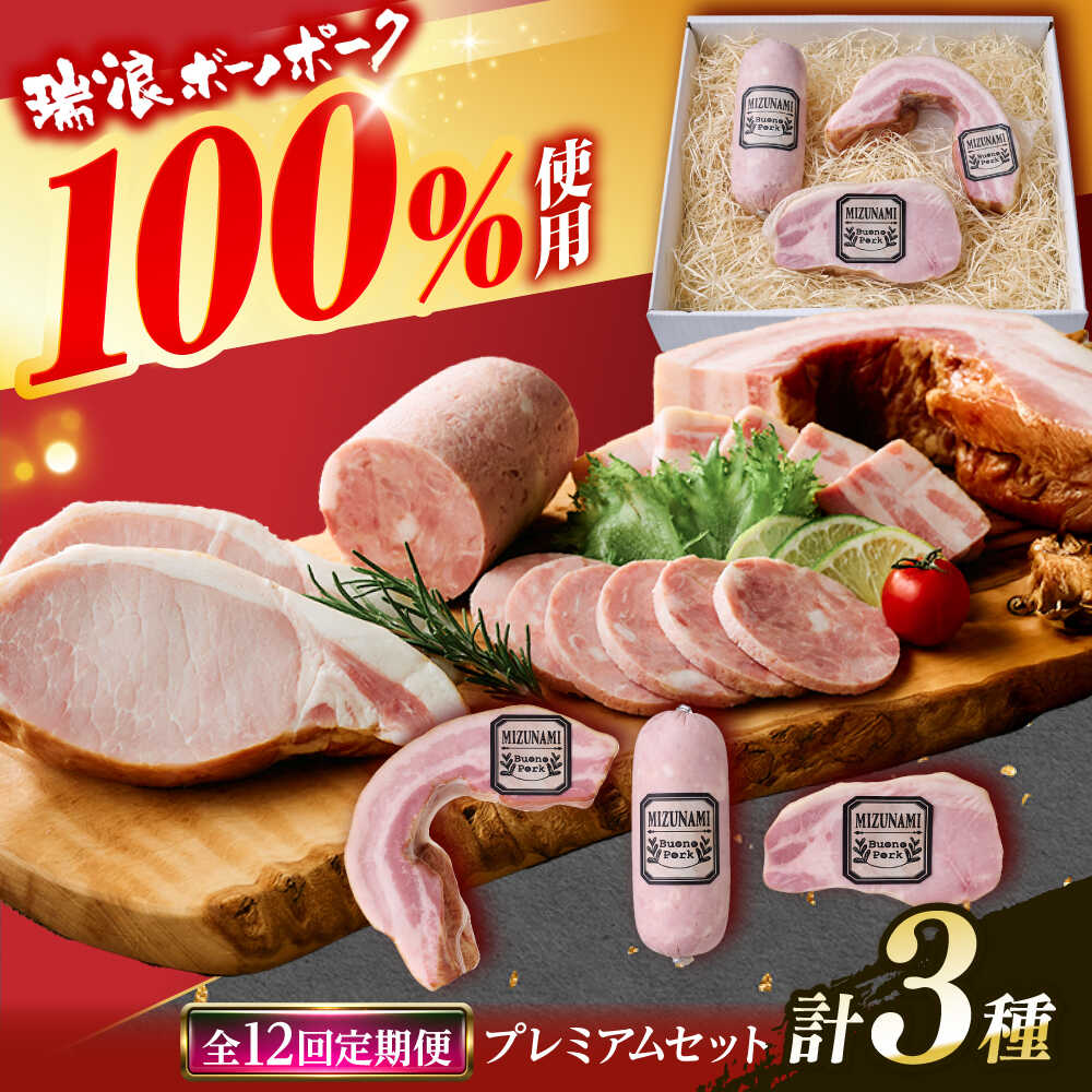 【ふるさと納税】【12回定期便】 ハム・ベーコン ブロック 瑞浪ボーノポーク 工房長厳選 プレミアムセット 900g (冷凍) 瑞浪市 / きなぁた瑞浪 詰め合わせ ギフト[AZCI109]