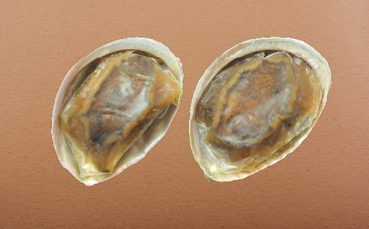[A345a］【 産地直送 】 天然 黒あわび の くえだし 柔らか煮 (大) 2枚セット 新鮮 鮑 あわび よか魚 長崎県 佐世保市