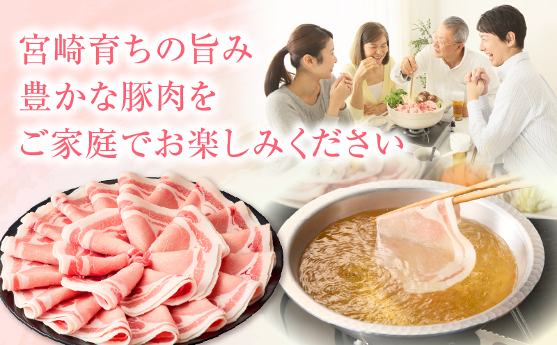 宮崎県産豚4.5kg 満載Bセット 豚 豚肉 豚肩ロース 豚ロース モモ ウデ スライス 切り落とし ミンチ しゃぶしゃぶ とんかつ ぶた肉 炒め物 冷凍 豚汁_M241-021-03