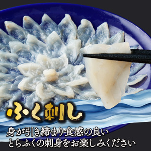 ＜毎月数量限定＞年末年始や宴会に！とらふく刺身・ちり鍋セット(4人前) 刺身 セット 鍋_K023-002