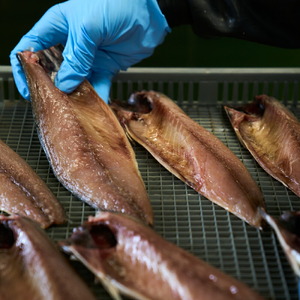 毎日シリーズ イワシ開き醤油干し 4枚入り 金華山沖 いわし 鰯 マイワシ おかず おつまみ 冷凍 太田屋醤油 塩竈市 宮城県 間宮商店 毎日 簡単 便利 魚　mm00009