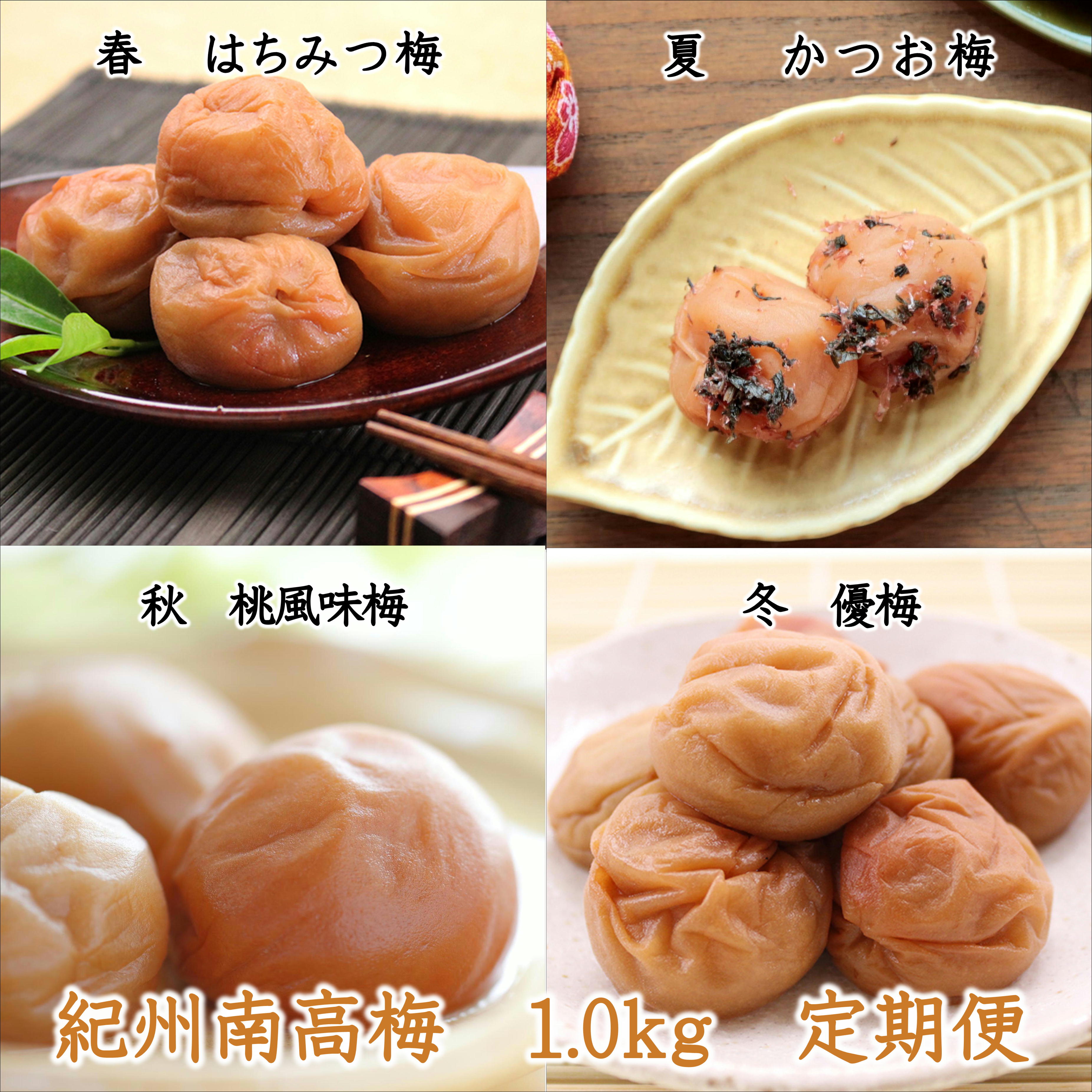 【ふるさと納税】紀州南高梅1kgの定期便（春・夏・秋・冬）4回 B